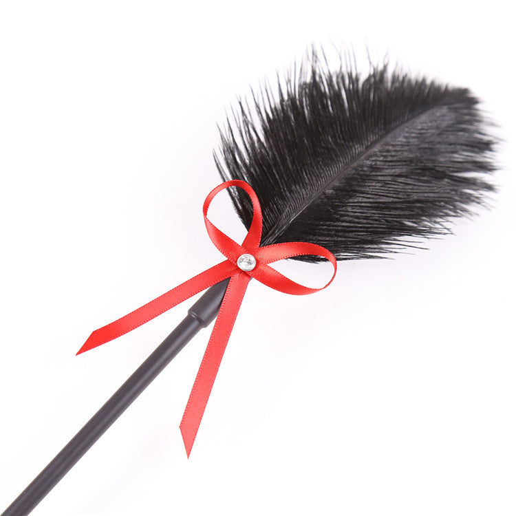 2-in-1 Feather Tickler & Spanking Paddle