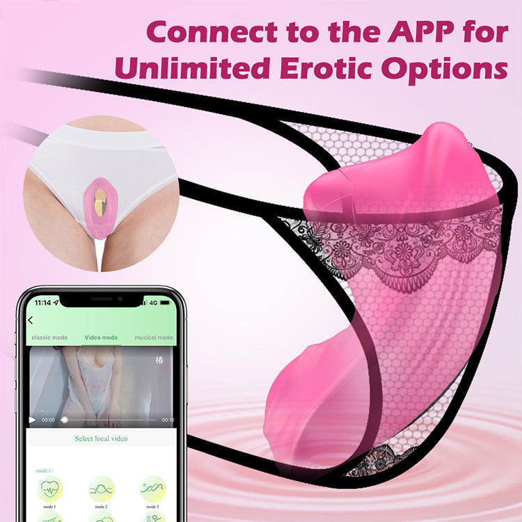 Bærbar Trusse Vibrator