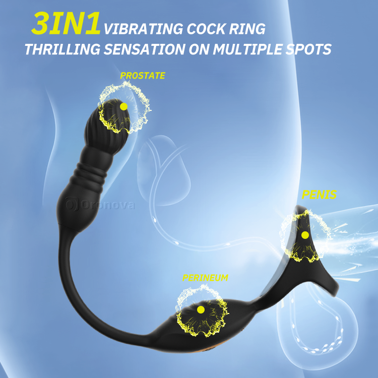 Bærbar Thrusting Prostata Massager - 10 Vibrationer & Fjernbetjening